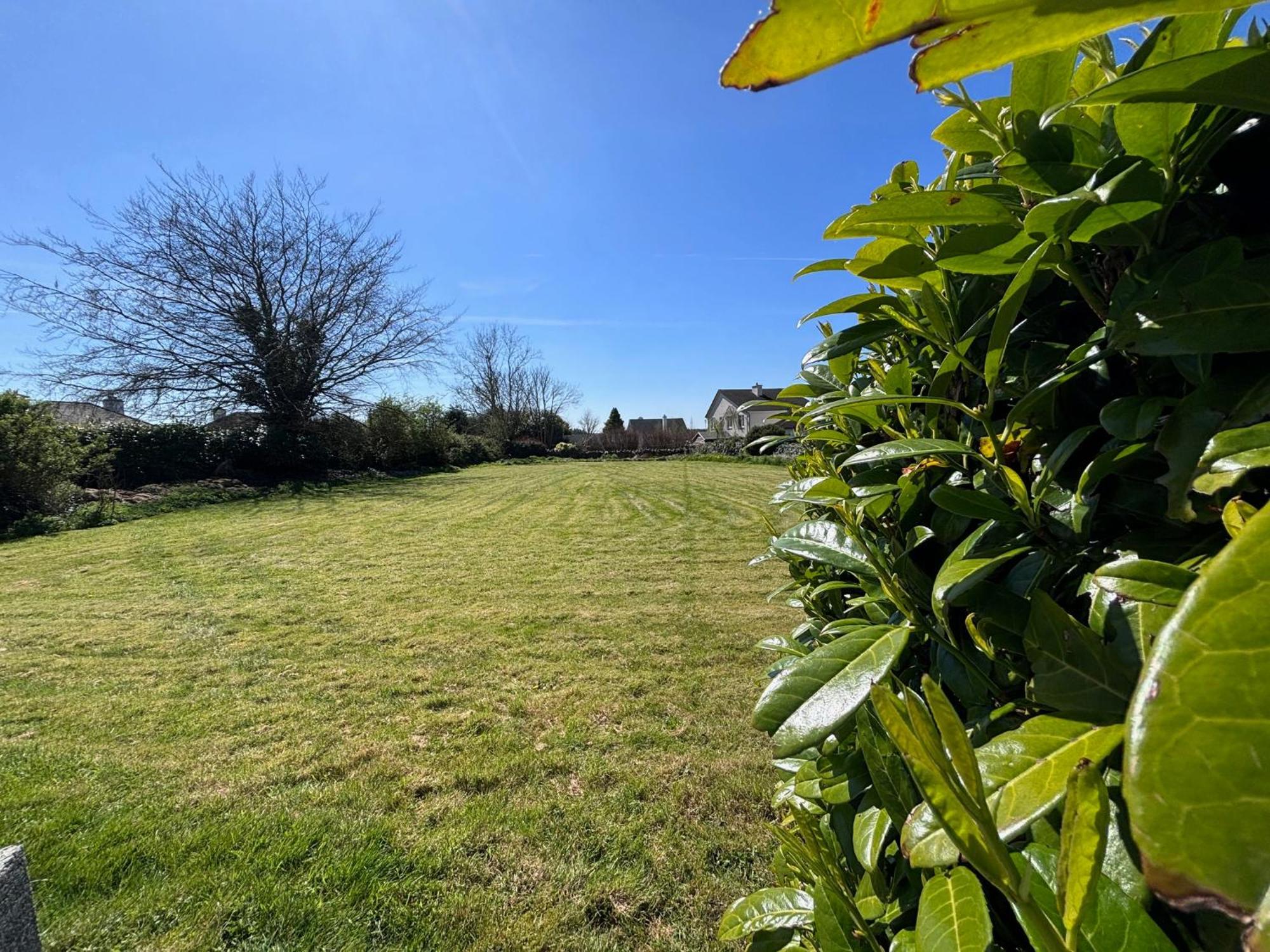 The Lodge Self Catering Castlerea Exteriér fotografie