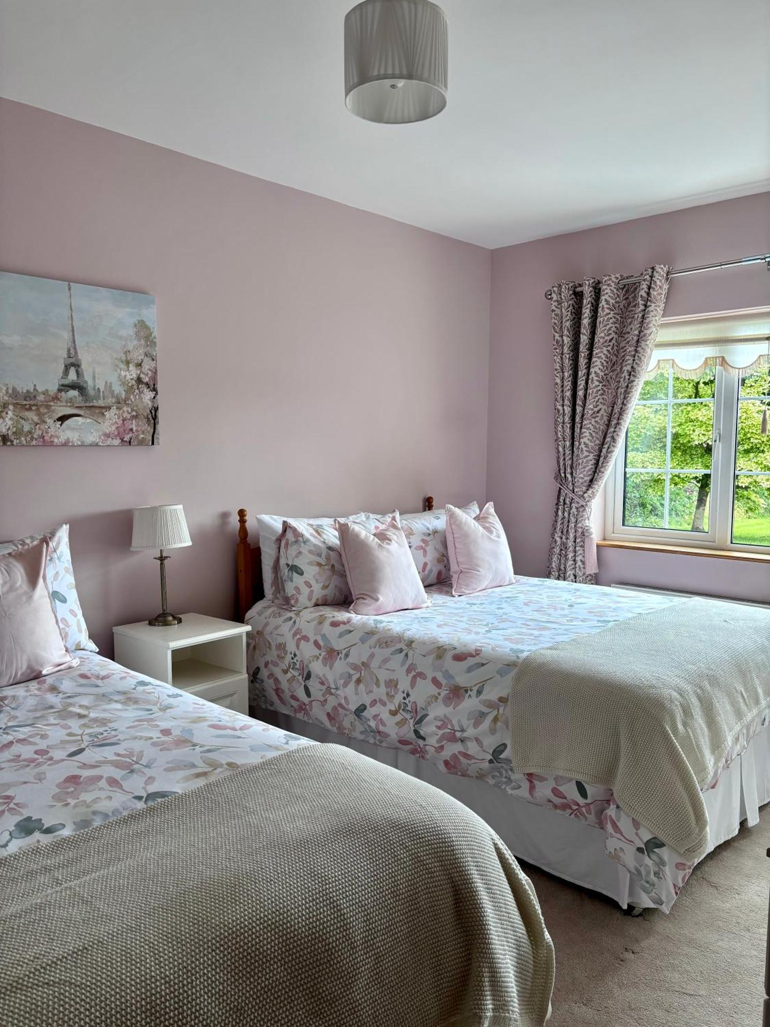 The Lodge Self Catering Castlerea Exteriér fotografie